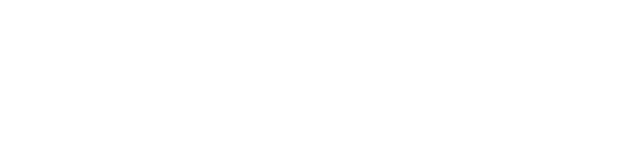 VELA ELECTRIC